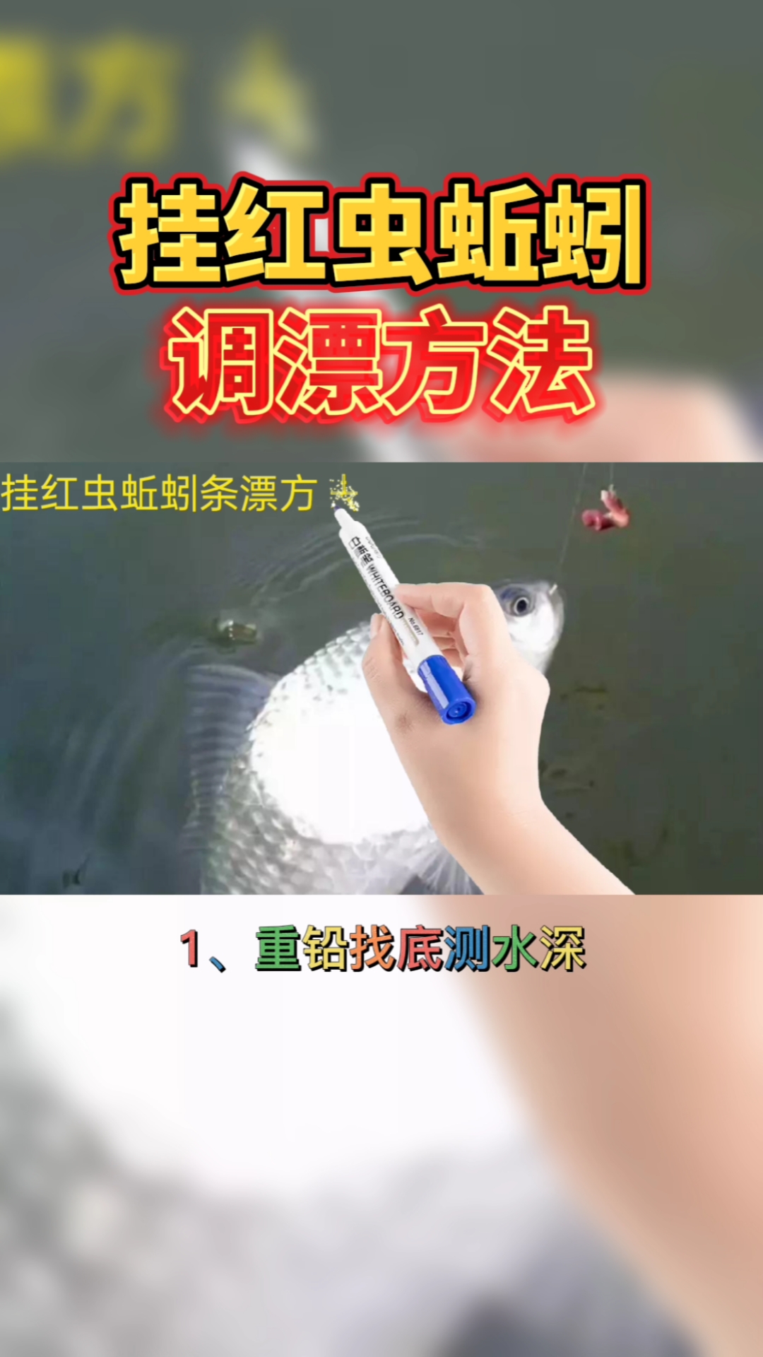 钓鱼#挂红虫蚯蚓钓鱼时的调漂方法