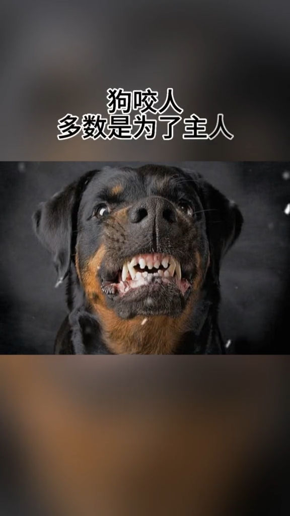 狗咬人咬的是生人人咬人咬的是熟人狗咬生人为主人人咬熟人为自己