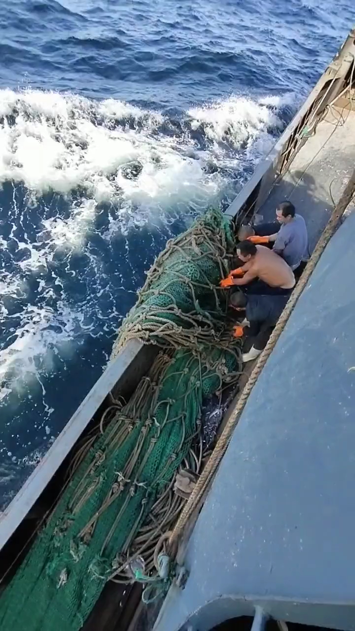 精彩刺激的双拖渔船放网全过程,你见过吗?