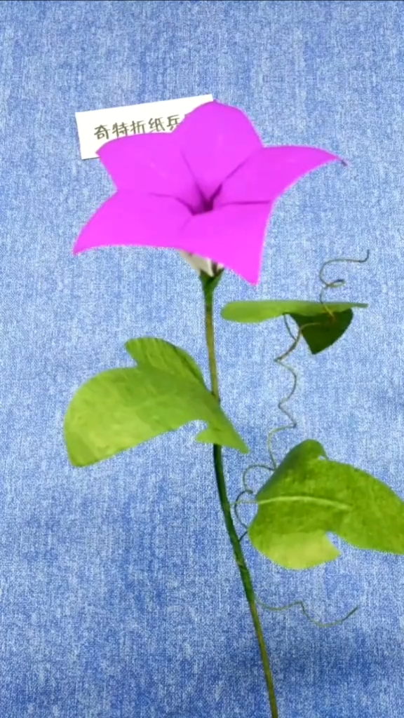 手工折纸#牵牛花俗称喇叭花!这是我折的最好看版本的牵牛花了
