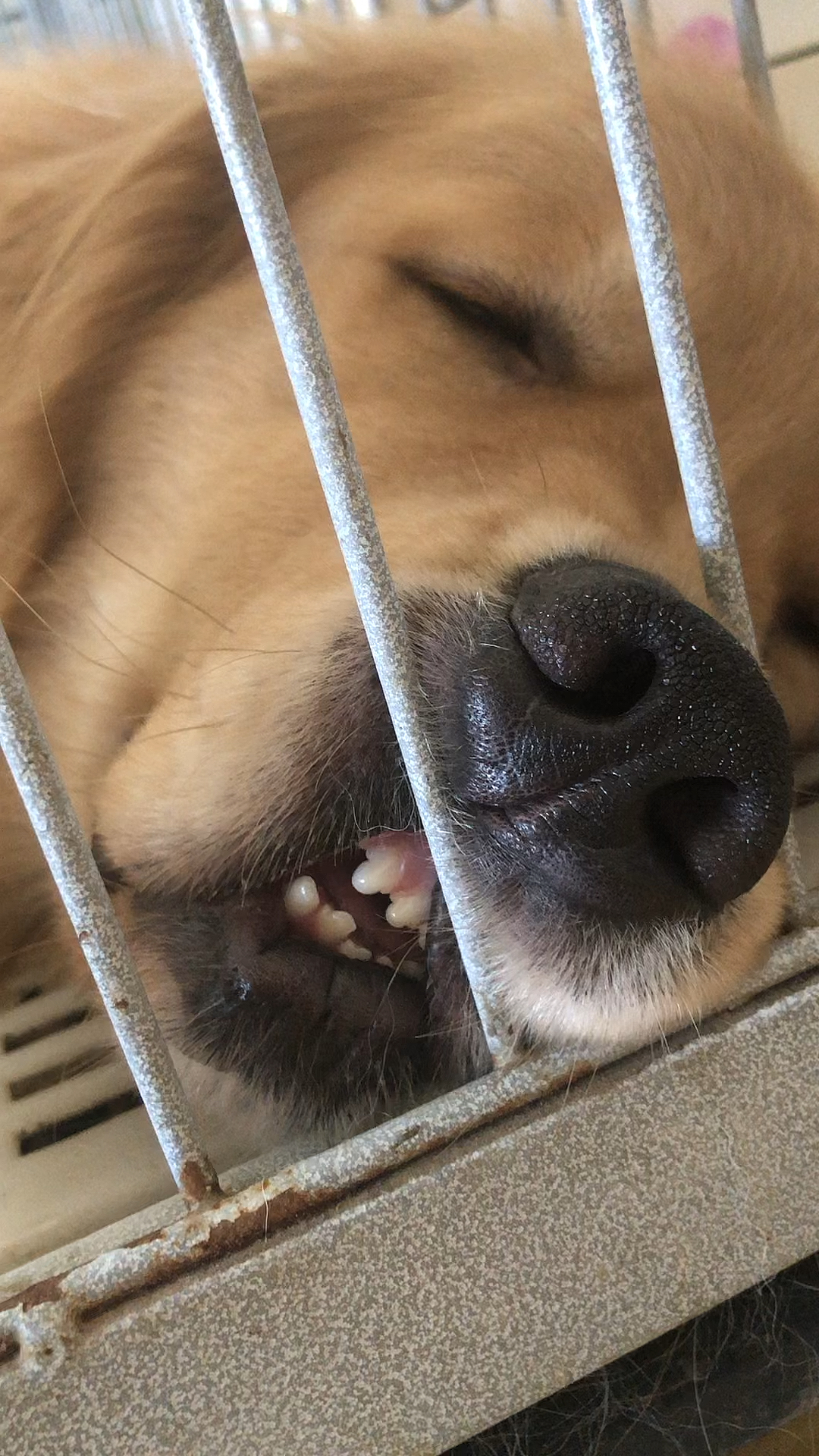 睡觉的姿势依旧这么销魂,谁能体会到单身狗的生活.