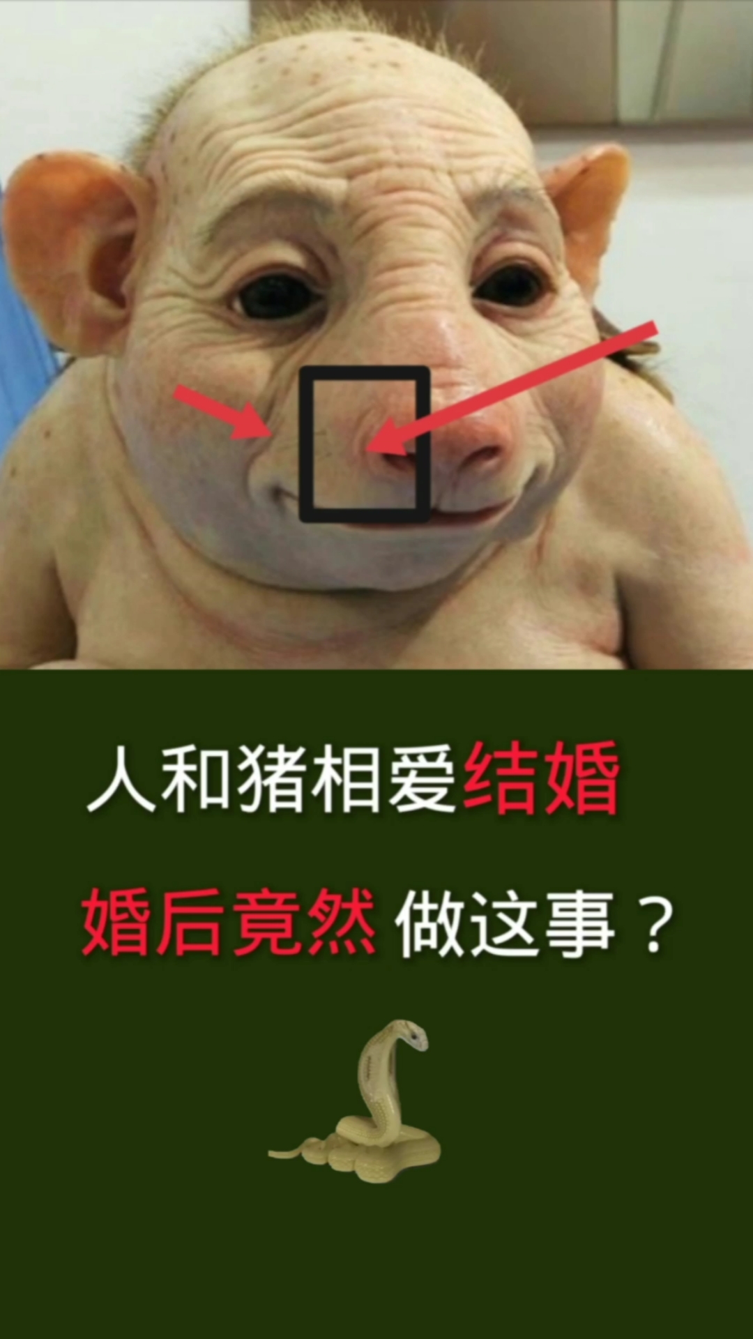 奇闻趣事#看世界#奇闻异事#怪事