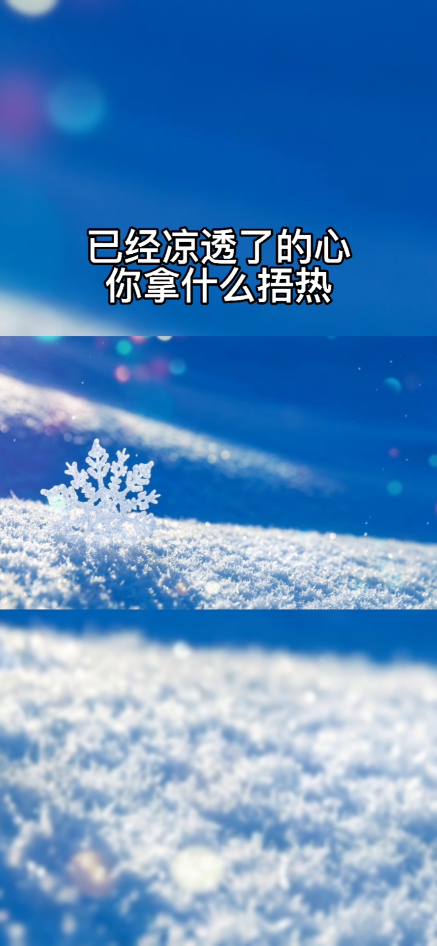 已经凉透了的心你拿多少捂热