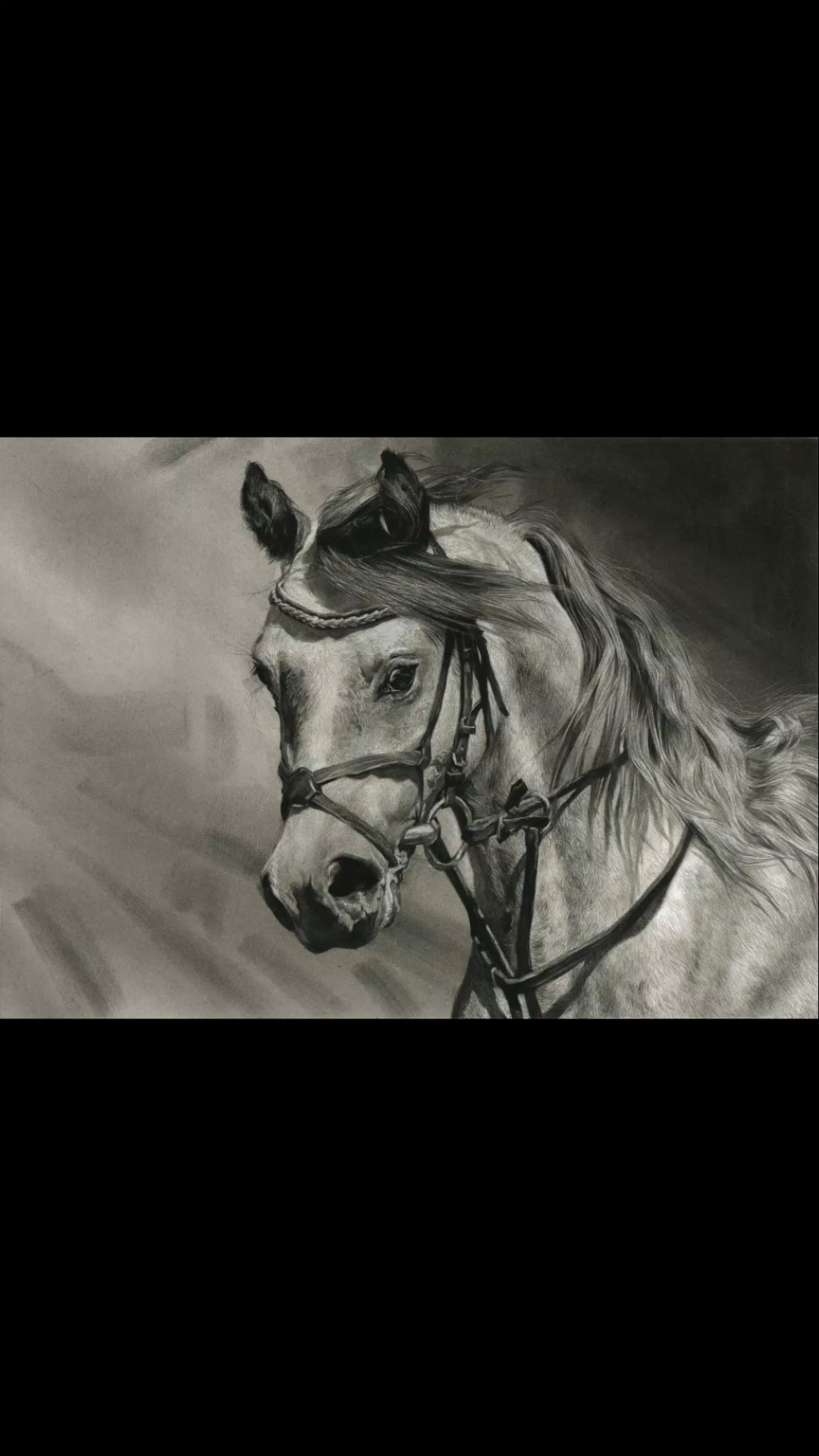 绘画#刘斌老师精微动物素描《马》-度小视