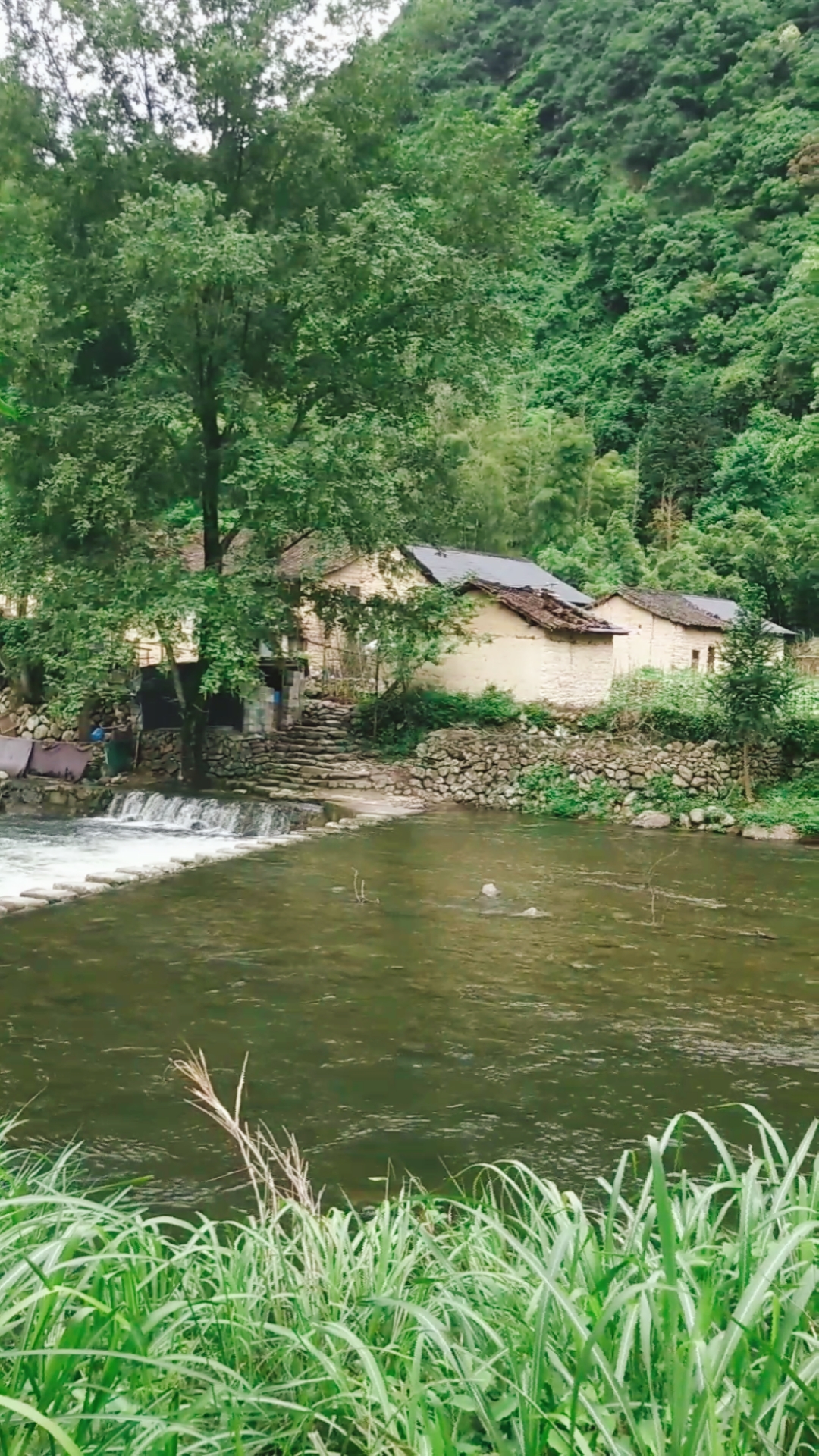 浙江丽水大山脚下一村庄,网友:"世外桃源也不顾如此"