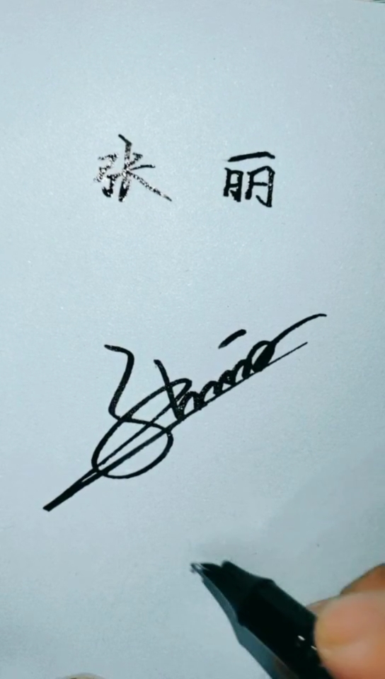 张丽的艺术签名怎么写图片
