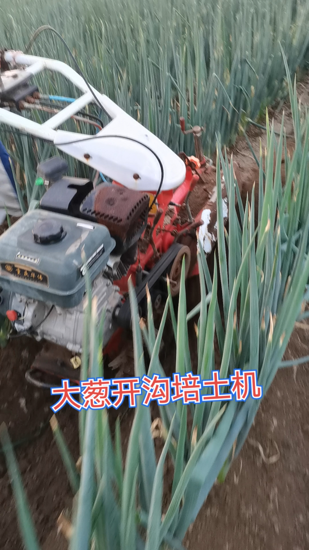 舜航开沟培土机#大葱开沟培土机多功能田园管理机开沟起垄机小型耕地