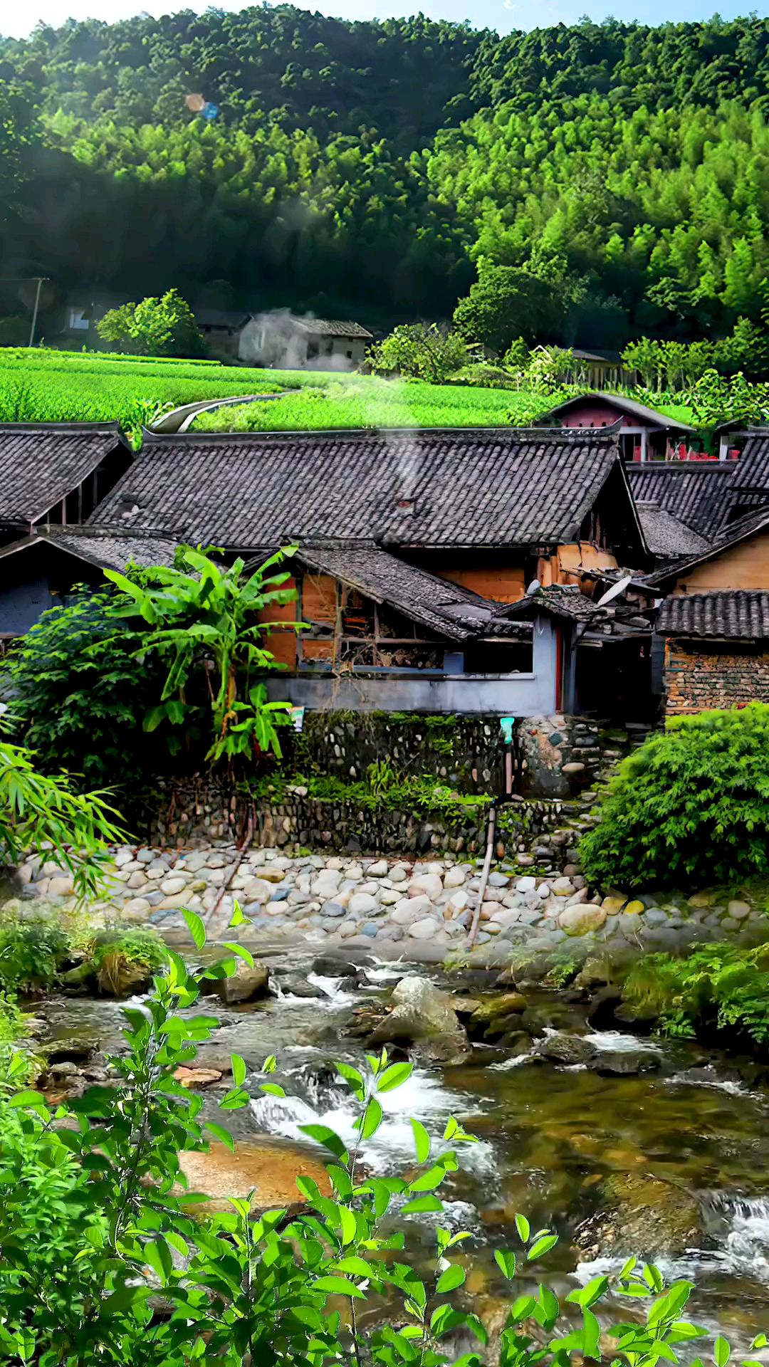 乡村生活#世上最美的风景,都不及回家的路,你曾经想逃离的地方