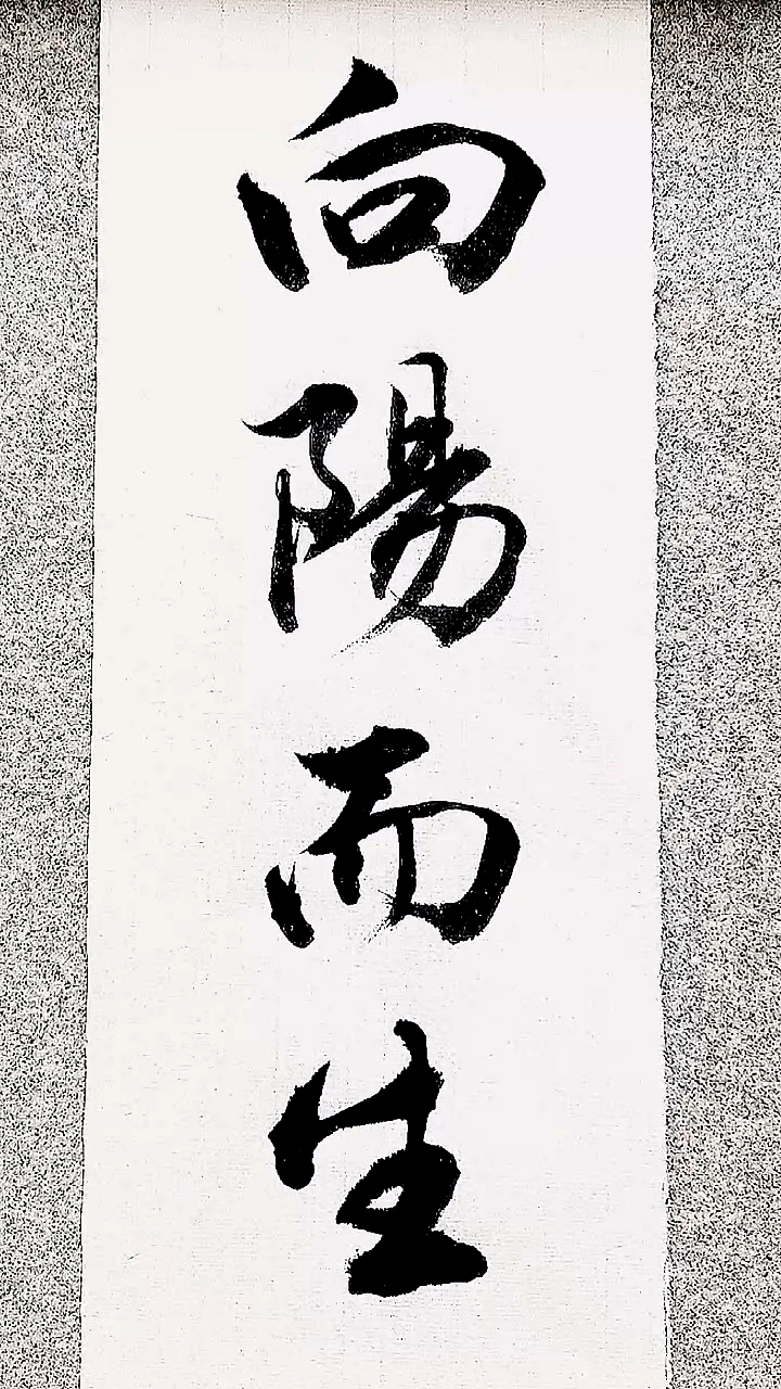 全民最牛手艺人#向阳而生,逐光而行.-度小视