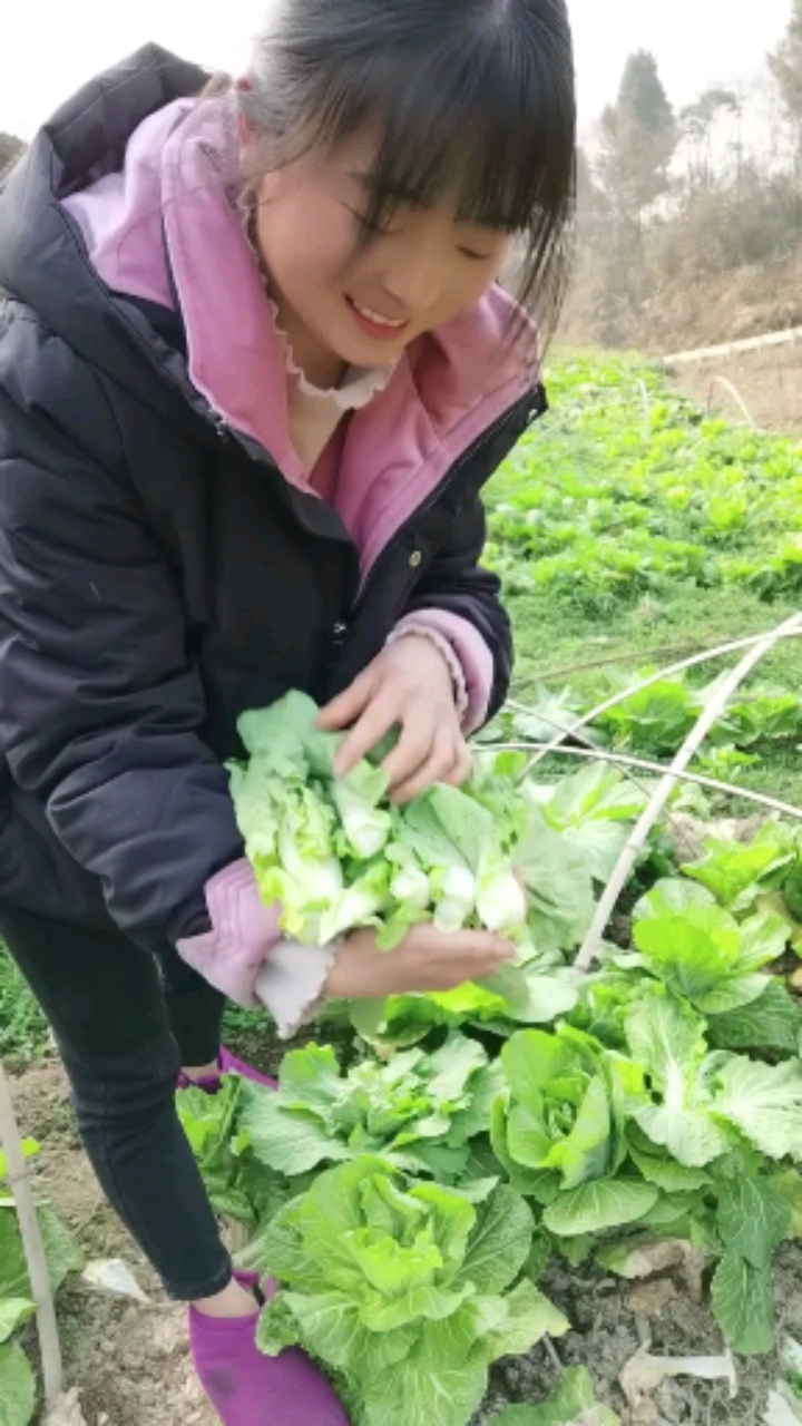 我就是一个普普通通的农村女孩,只想更多的记录生活