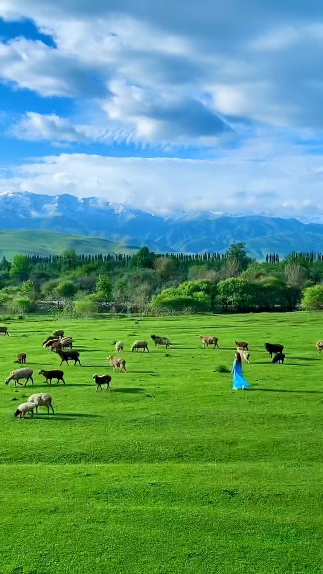 阳光普照大地万物复苏,山清水秀美如画卷,悠扬的歌声,潺潺的流水.