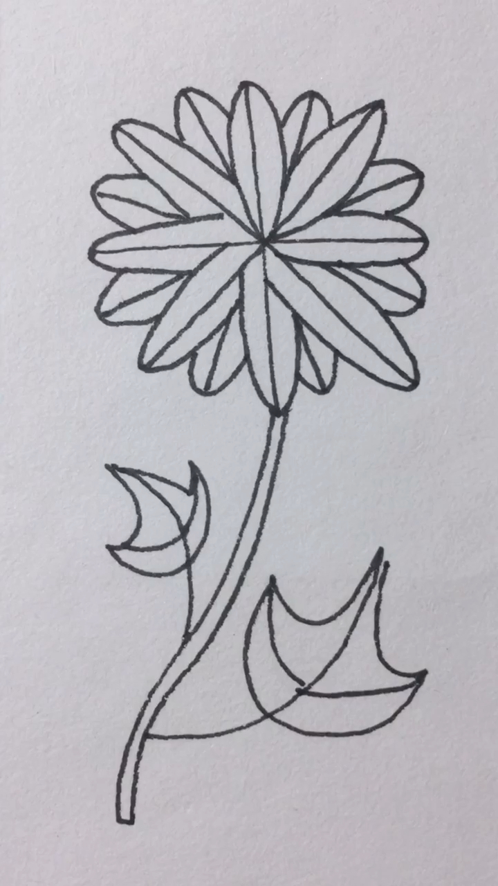 简笔画#学画菊花简笔画