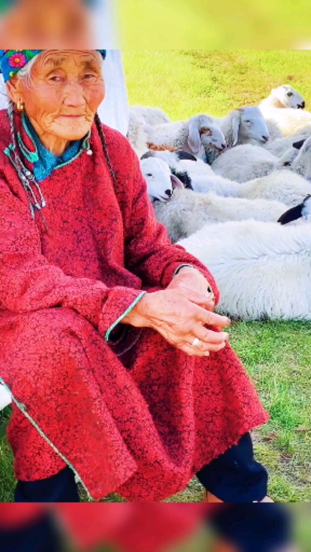 记录美好生活草原上的老额吉