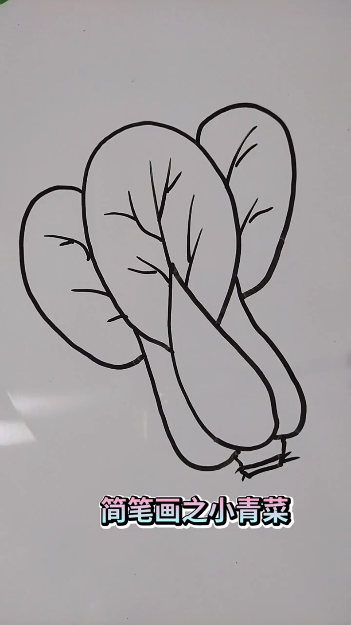 简笔画之小青菜!