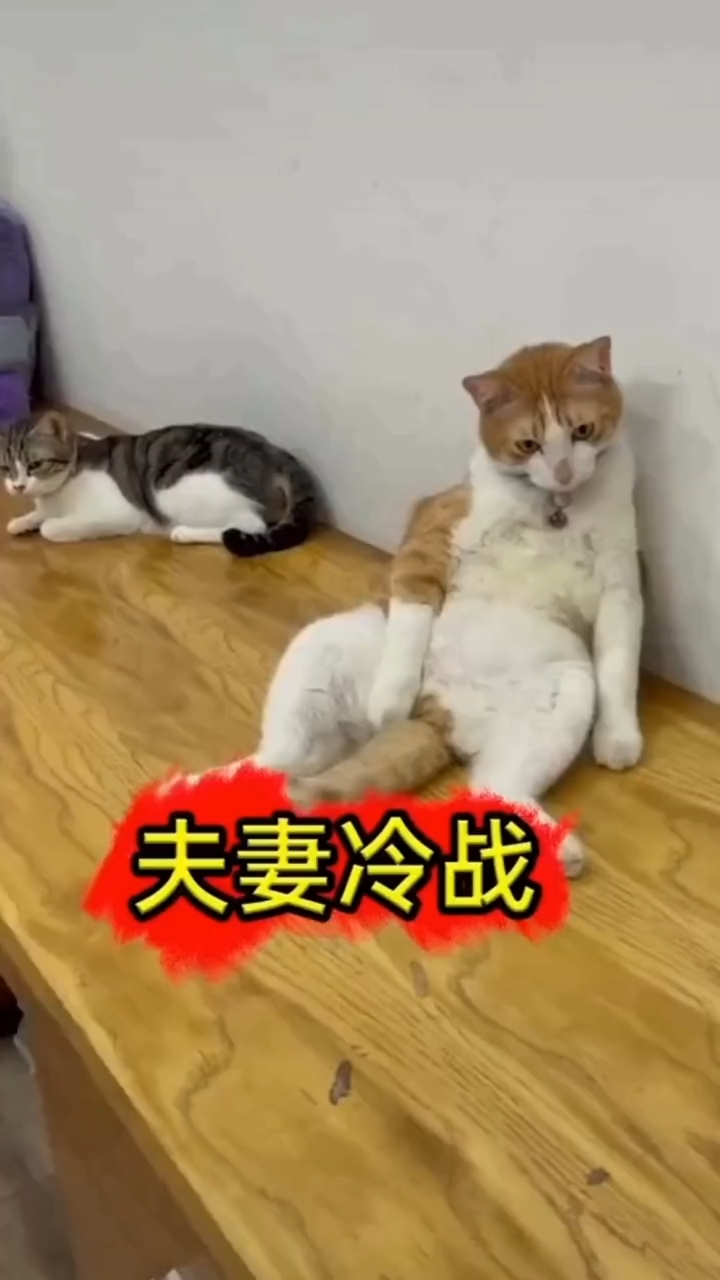 搞笑段子剧#夫妻之间床头吵架床尾和!搞笑视频
