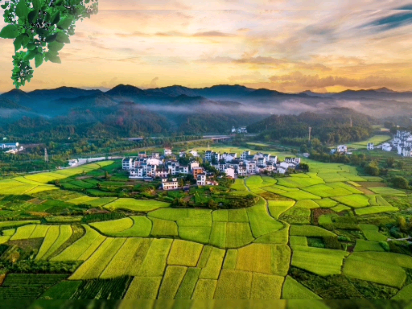 乡村生活#城市有城市的繁华,乡村有乡村的美好.