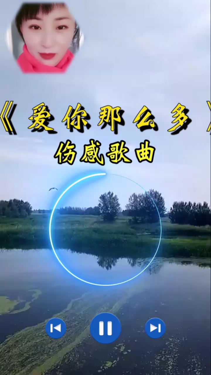 回家路上那些事#伤感歌曲,爱你那么多