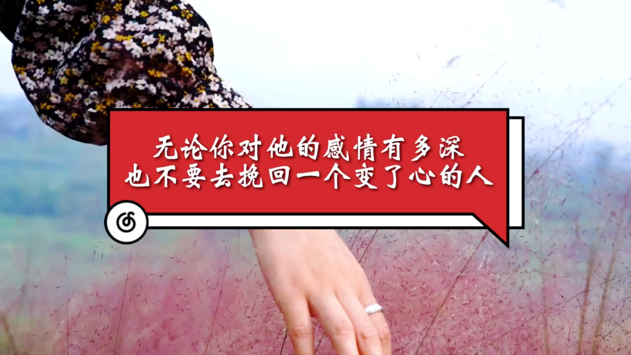 扎心情感语录#无论你对他的感情多深,千万别去挽回一个变了心的人!