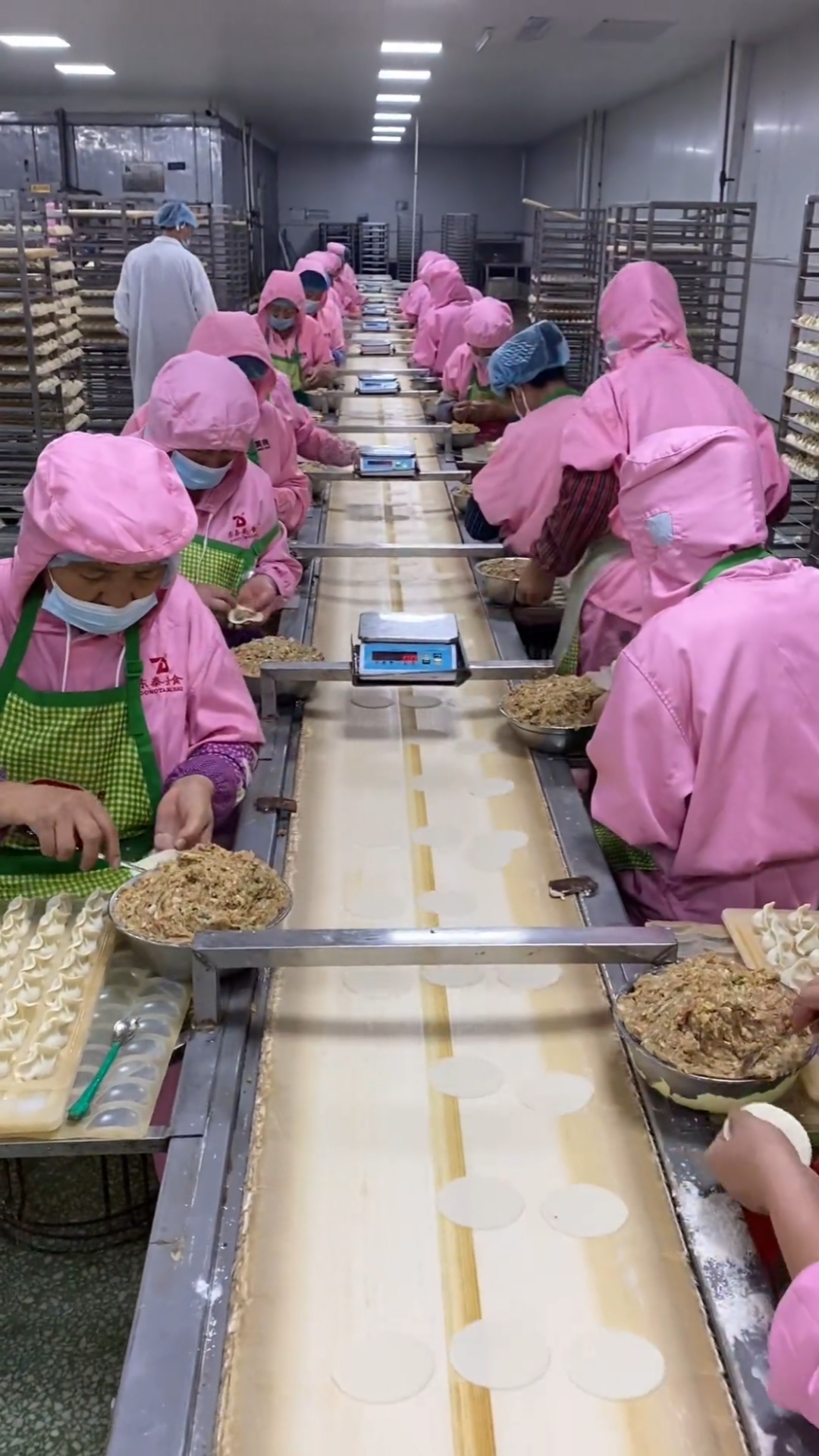 流水线包手工水饺