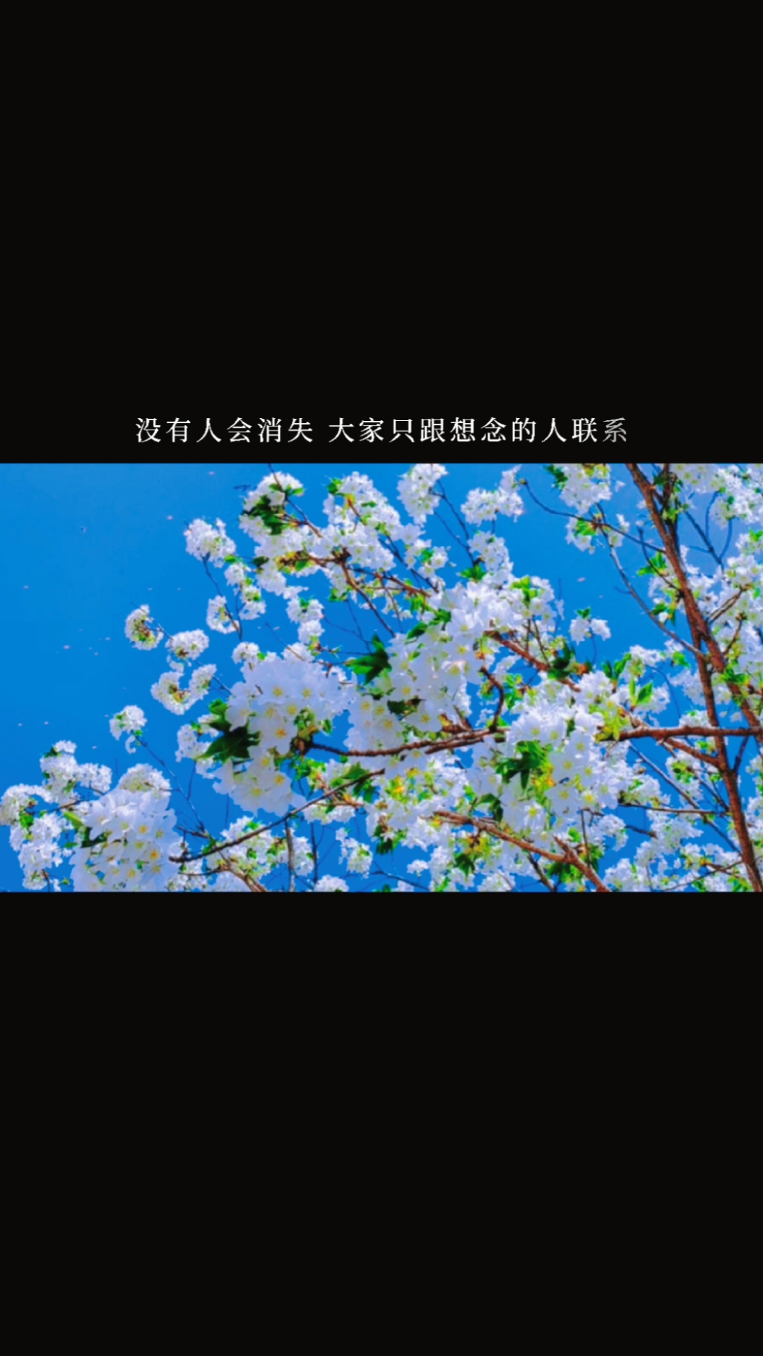 念梦人文案#没有人会消失大家只跟想念的人联系