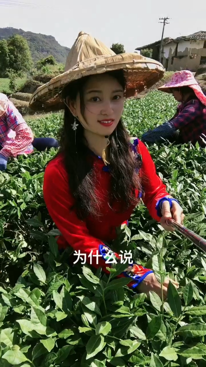南方女人跟北方女人的区别.