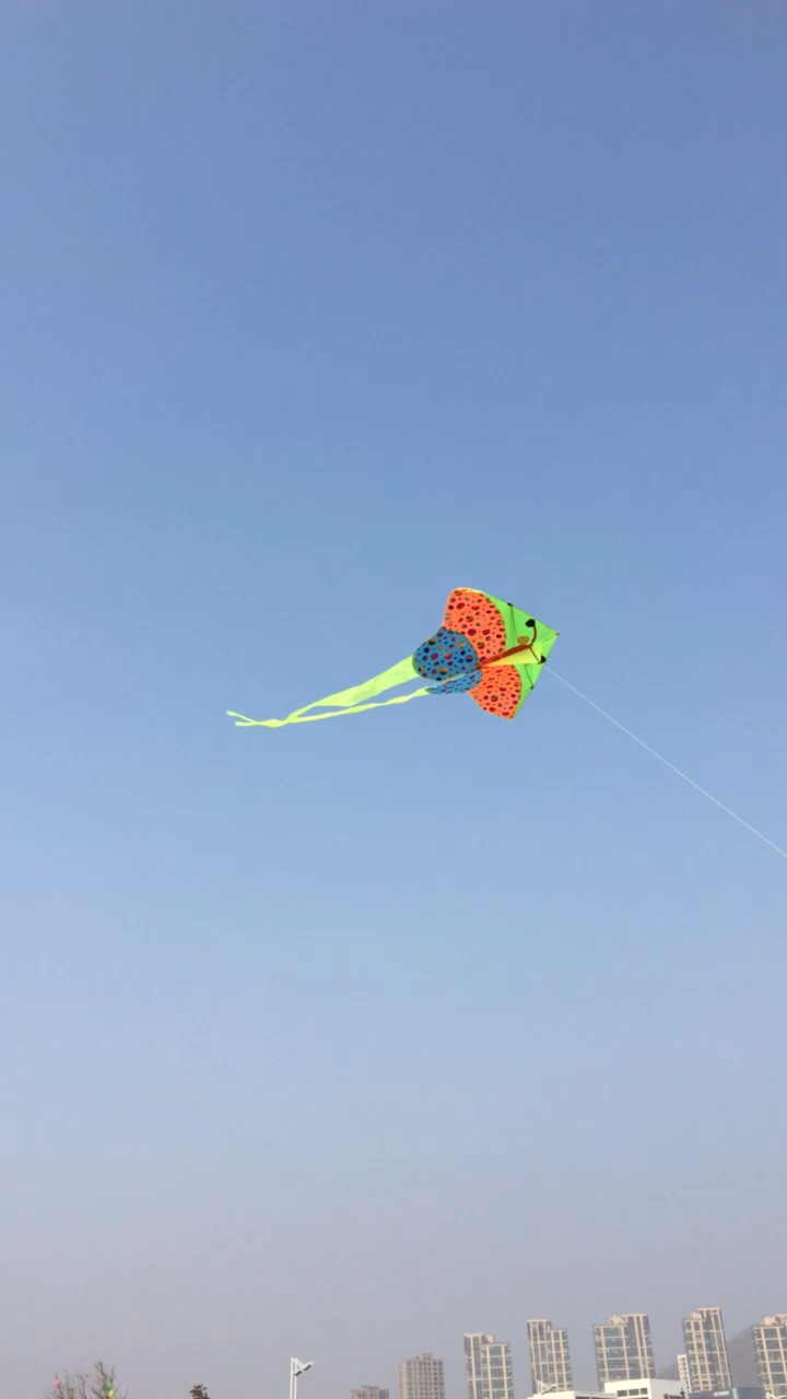 春日心愿旅行地#海边放风筝