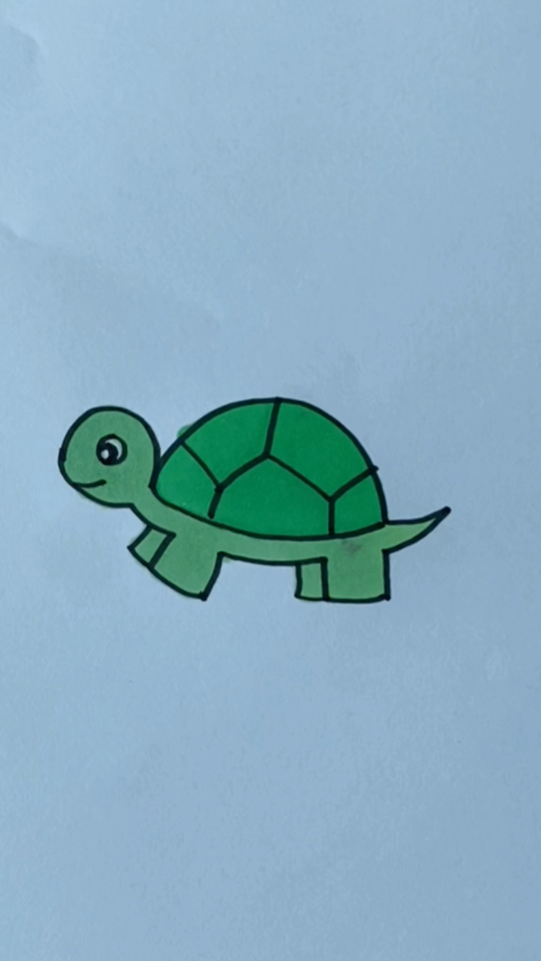 简单可爱的小乌龟画法