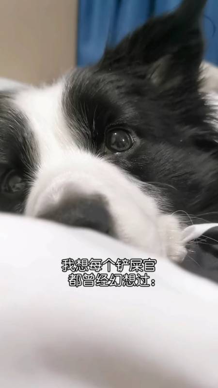 但一生氣就能獲得10萬血,小乾反而不高興3.32萬鎧