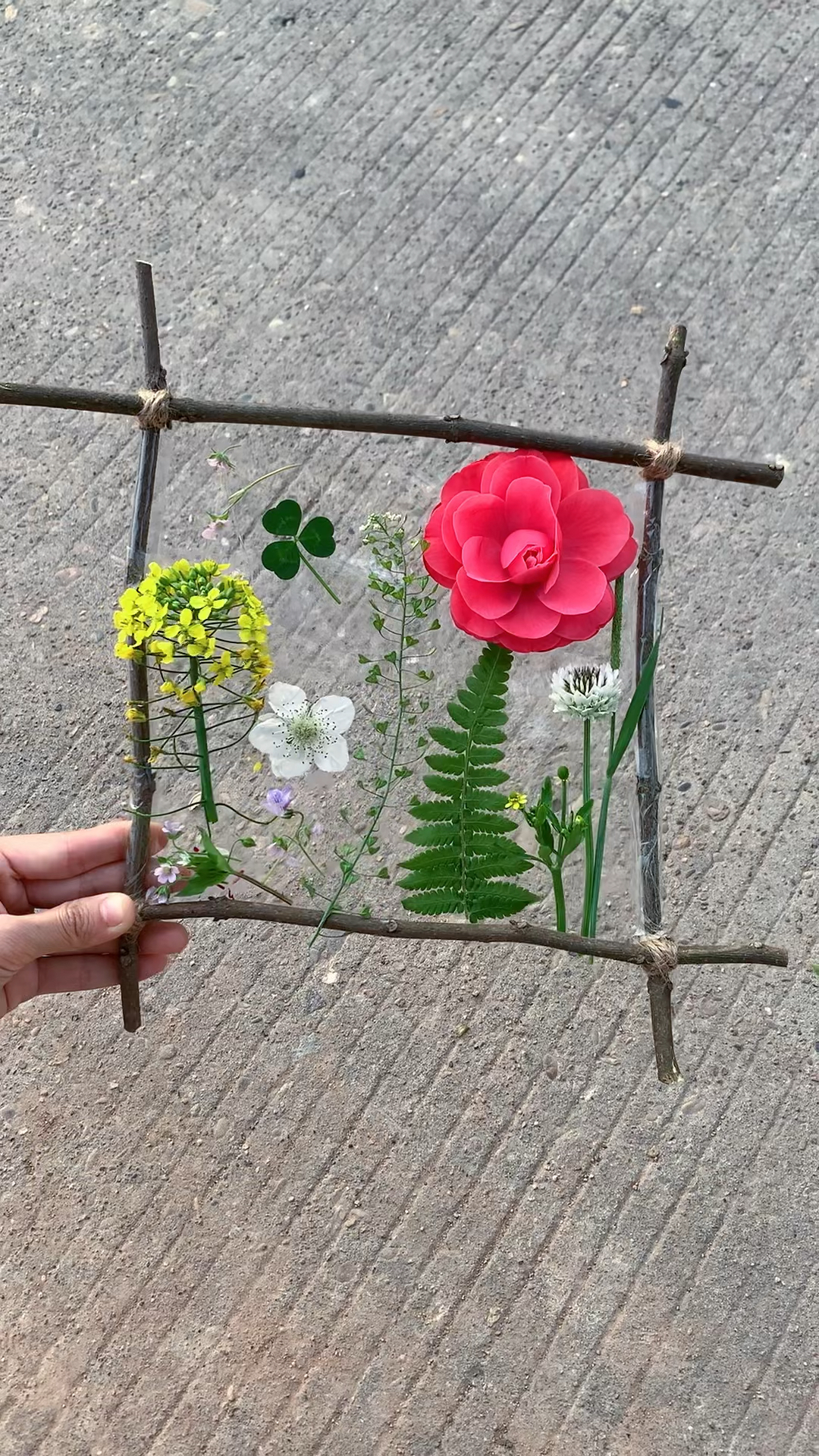 用树枝和透明胶做了一个画框,和小朋友一起去寻找春天的美,把春天带