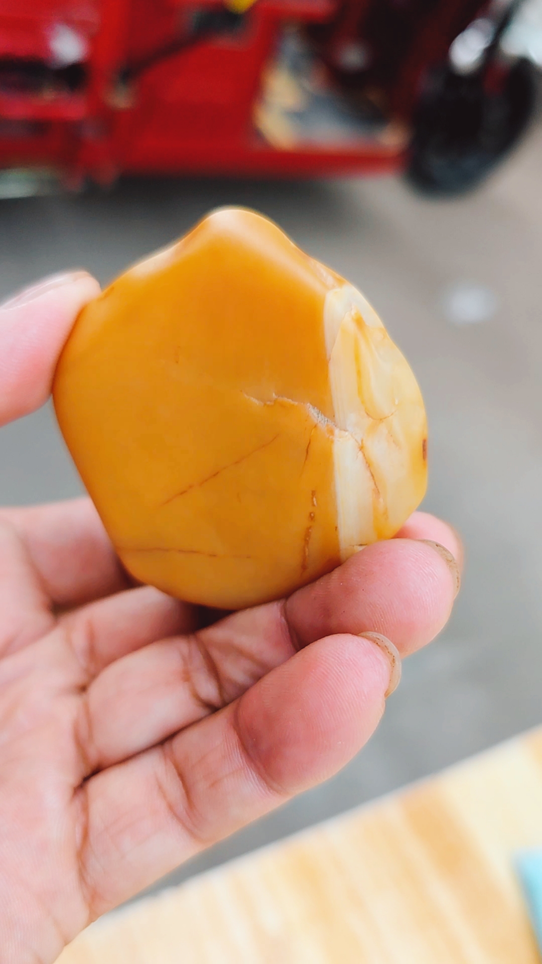 捡石头#渭河精品黄蜡石