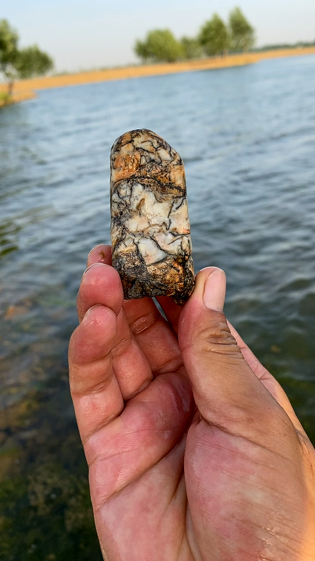 漂亮的石头这个小石头的花纹像什么