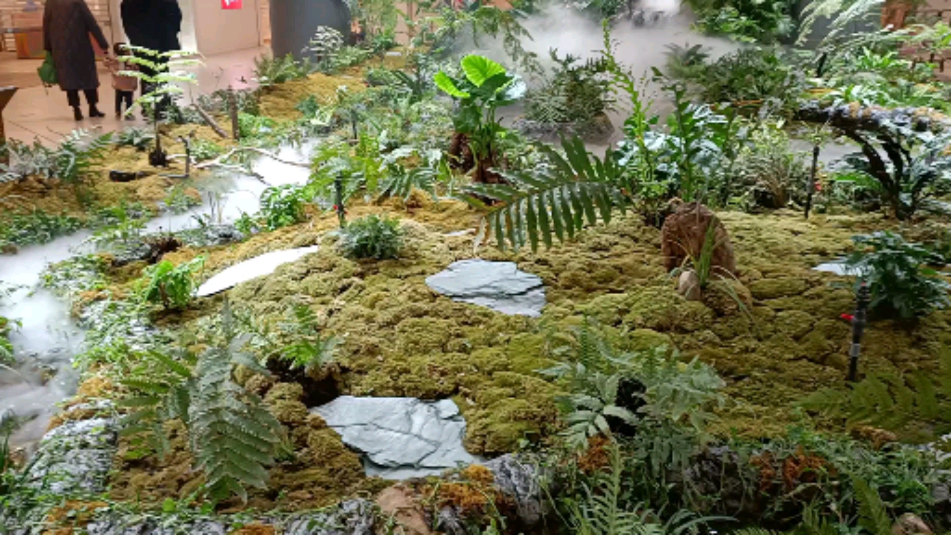 过好冬天#寒冷的冬天,感受一下室内的热带雨林