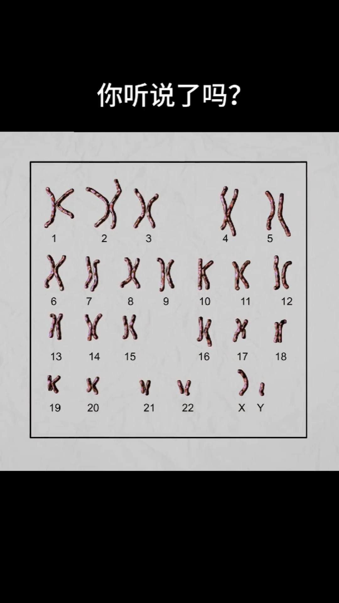 全民涨知识男性的y染色体正逐渐消失未来真的不再有男性吗