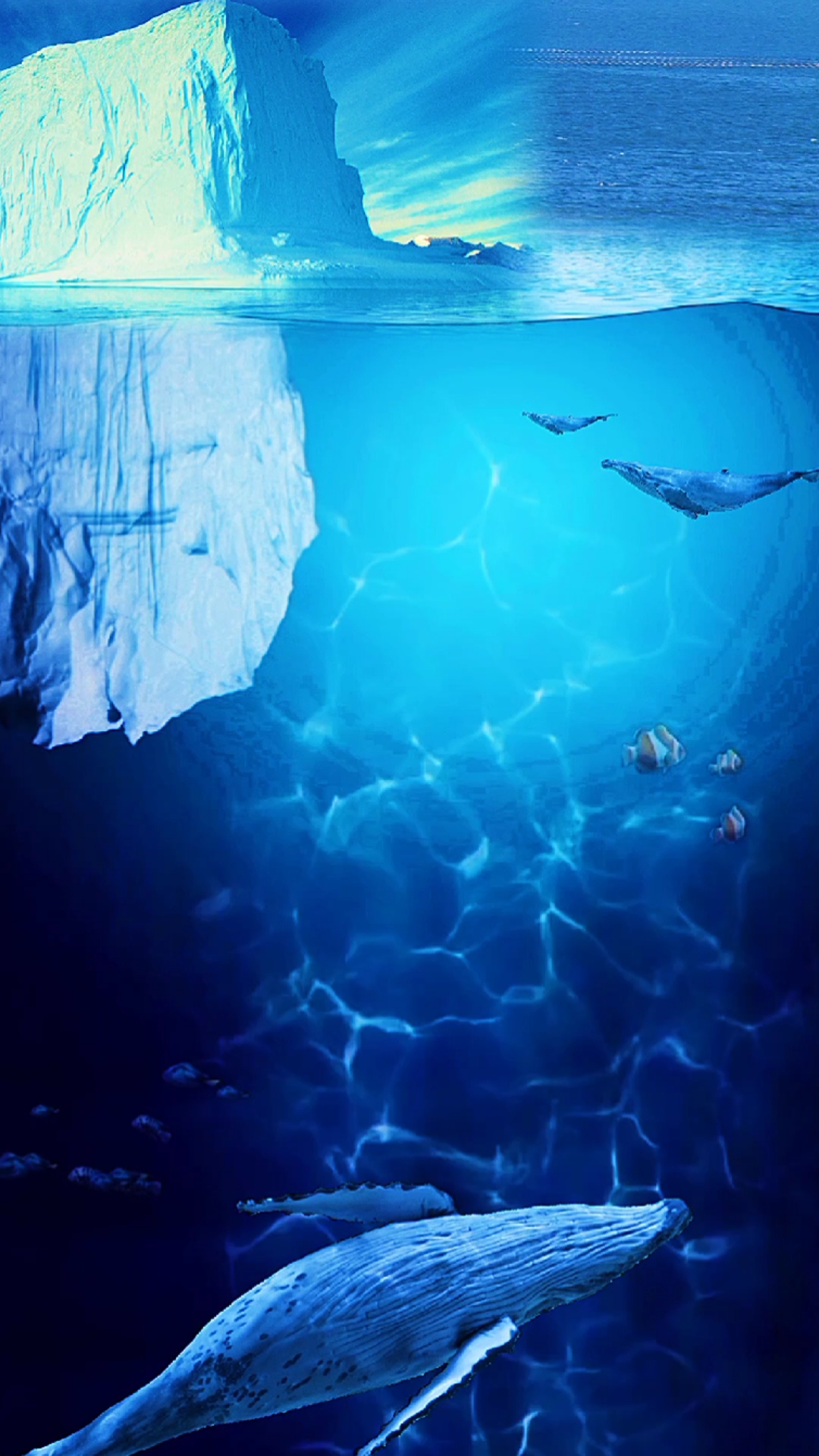 鲸鱼#一鲸落,万物生.