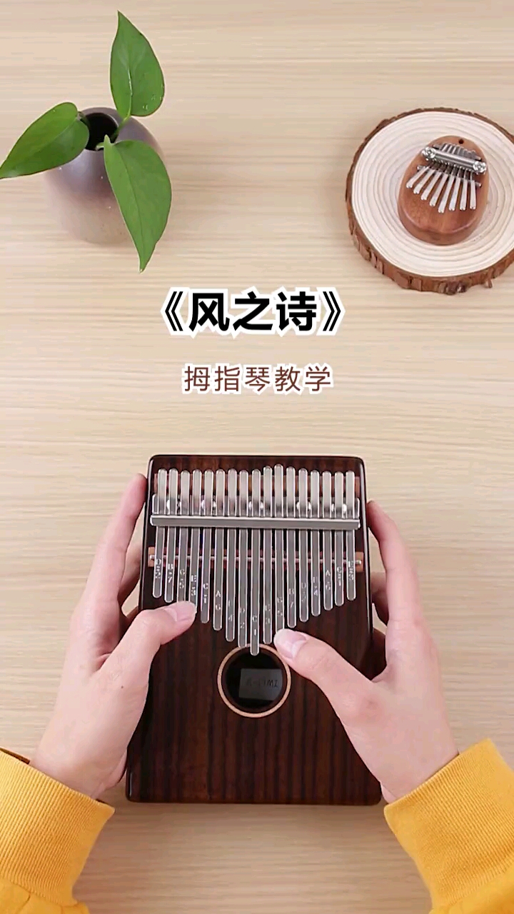 春天来了#跟我学拇指琴风之诗喜欢请关注