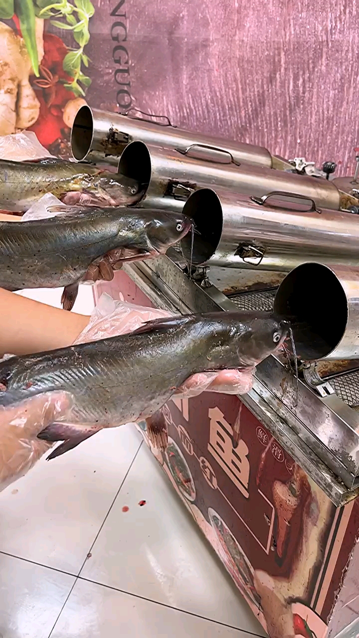 提前腌好的青椒鱼,放在炮筒里,一个筒里放一条,翻上蜜汁酱料,加热15