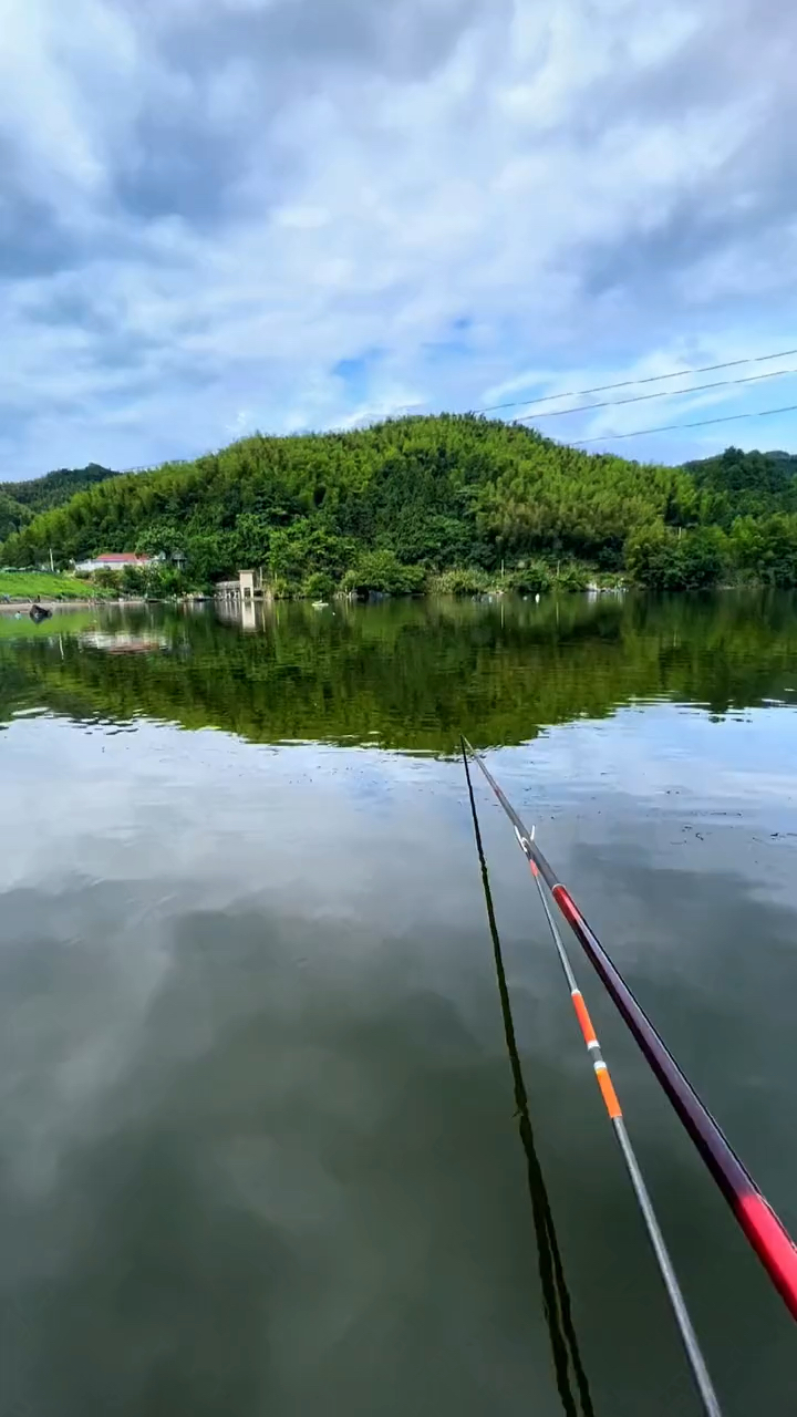 水库钓青鱼,钓大鱼