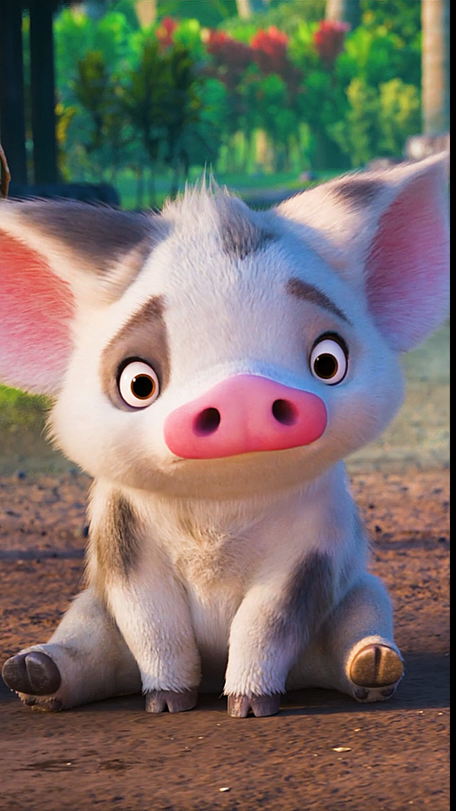 海洋奇缘#好想拥有莫阿娜的同款宠物猪pua