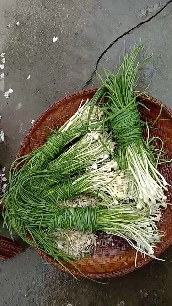 美食##凉干的野葱做美食特好吃!