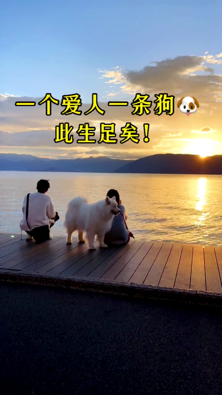 一个爱人,一条狗,此生足矣!