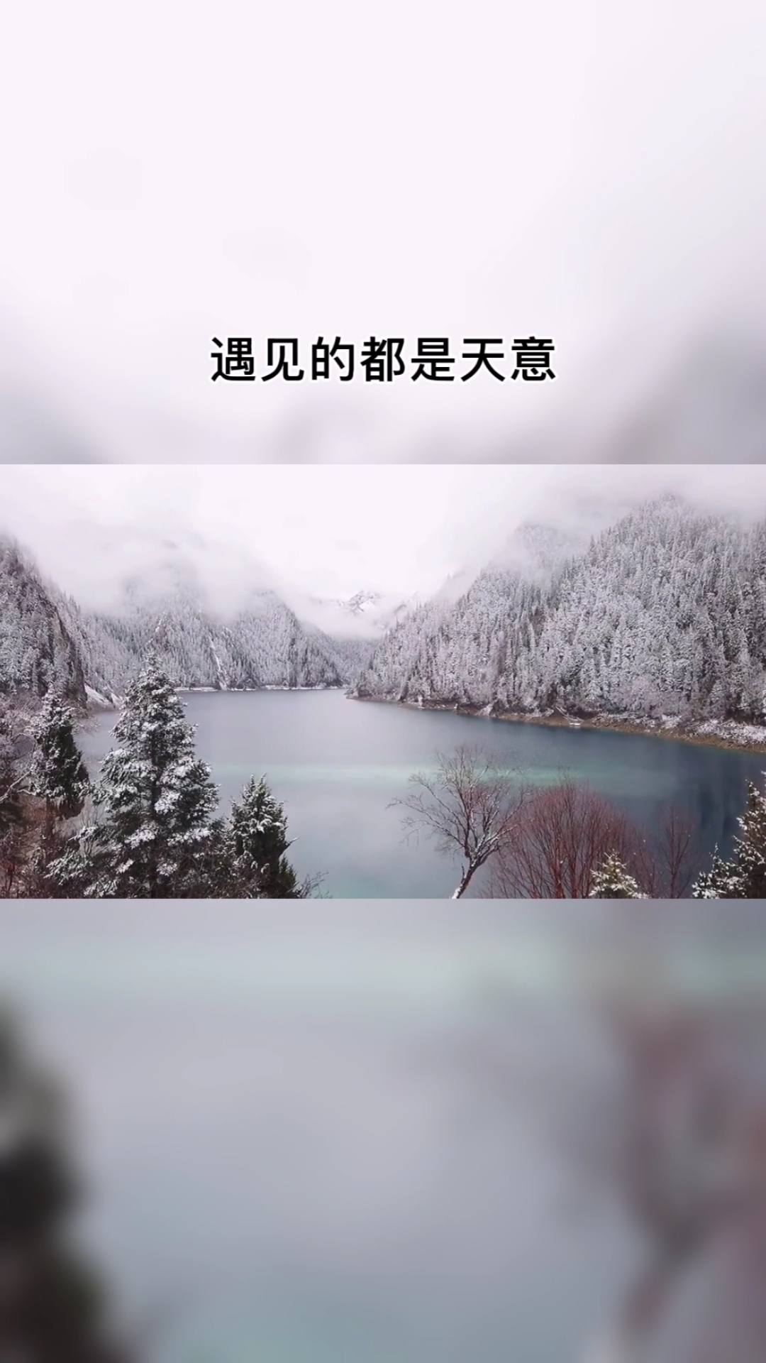 情感故事#遇见的都是天意,拥有的都是幸运@经典心语录