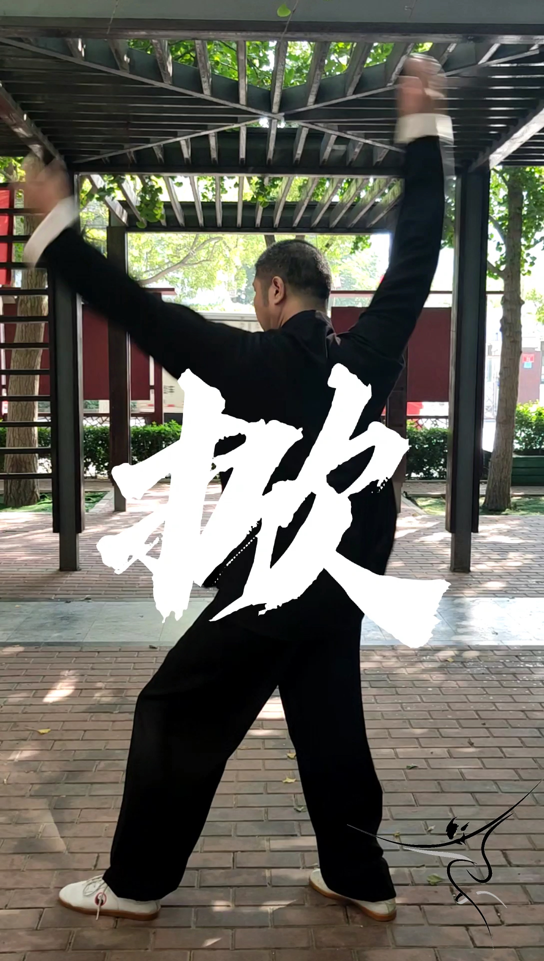 传统武术#白猿通背拳-摇臂(二)-度小视