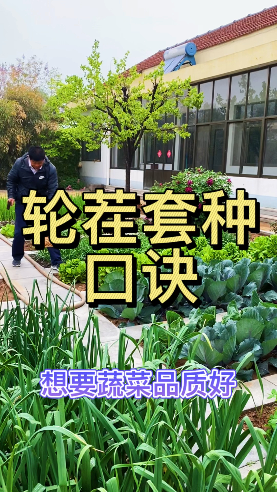 想要蔬菜长得好轮茬套种要记牢