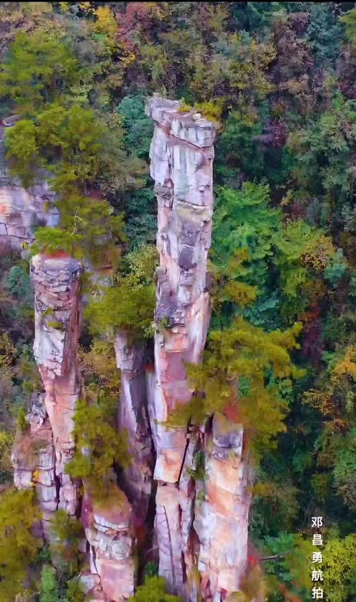 张家界武陵源风景区秋景是时候雨后有云海天晴有秋光影效果