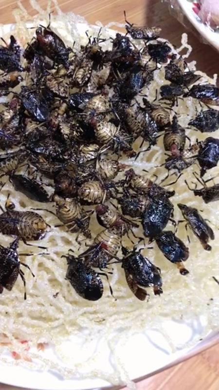 这东西能吃吗都有谁认识我们这里叫臭大姐