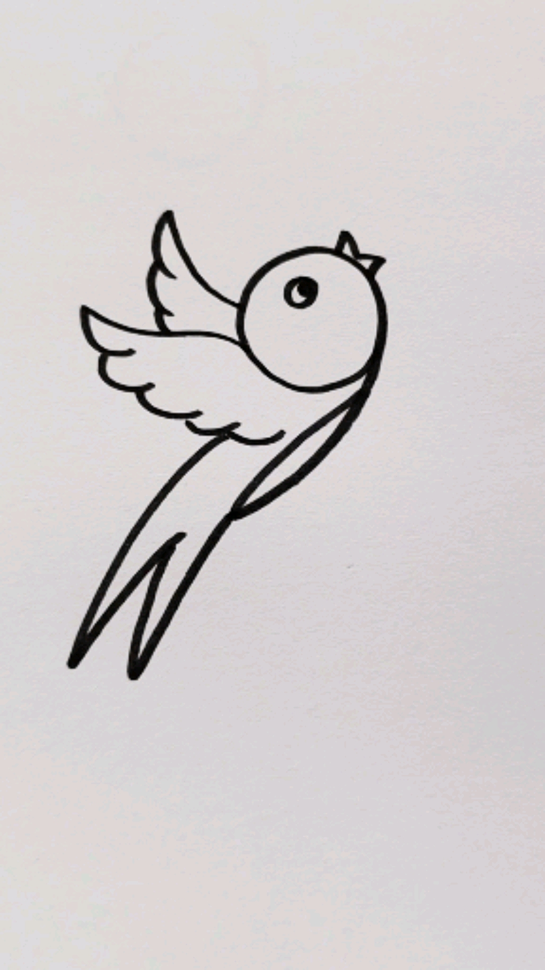 小燕子的简笔画 可爱图片