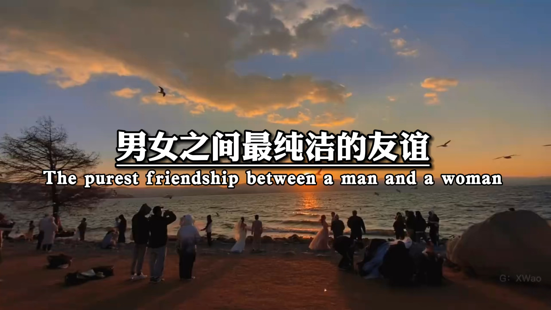 情感#男女之间最纯洁的友谊,就是夫妻,结婚越久友谊越纯