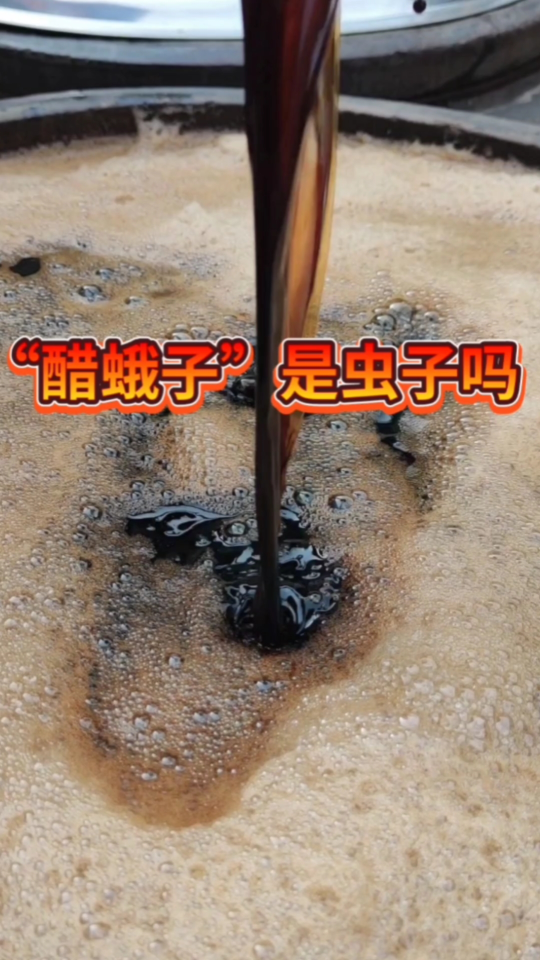 "醋蛾子"不是"幺蛾子",不是虫子!是一种可食用的有益菌!