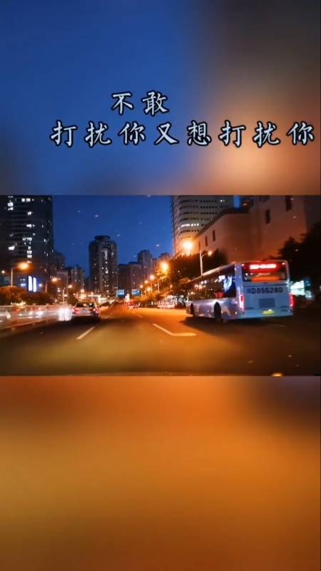 不敢打扰你,又想打扰你,做不到不打扰,又舍不得放手