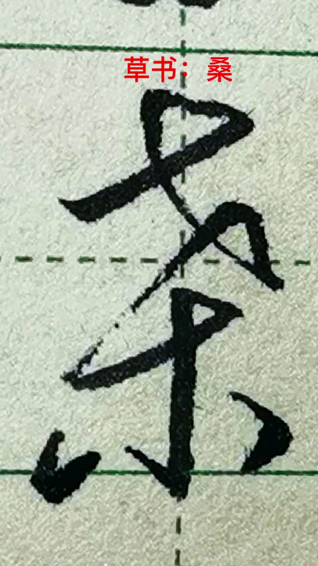 一起写草书桑字的草书写法